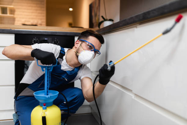Wasp Removal Services in Wilmington Island, GA