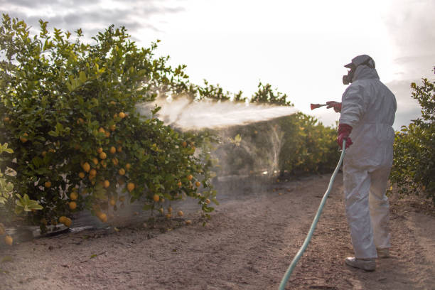 Best Pest Control Near Me in Wilmington Island, GA